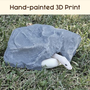 XL Rounded Rock Hide