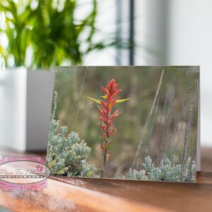 Wyoming Note Card, Wyoming State Flower, Indian Paintbrush, Red Wildflower, Wyoming Wildflower, Wyoming Photo, Note Card With Envelope image 2