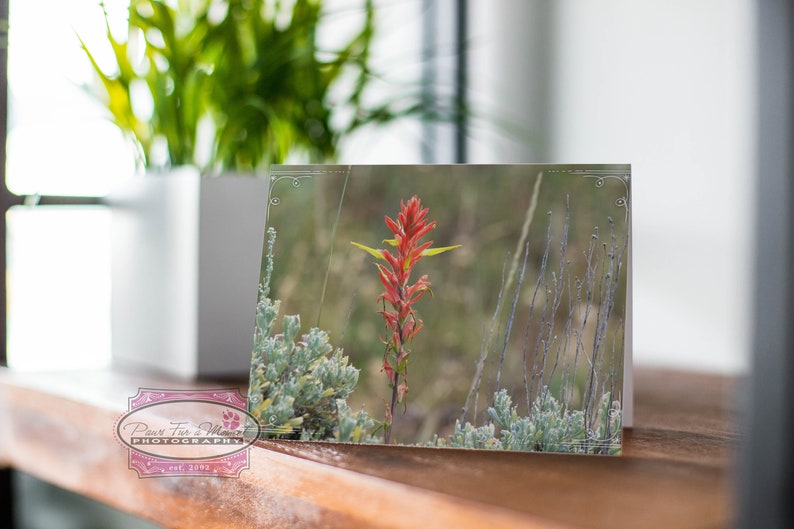 Wyoming Note Card, Wyoming State Flower, Indian Paintbrush, Red Wildflower, Wyoming Wildflower, Wyoming Photo, Note Card With Envelope image 2