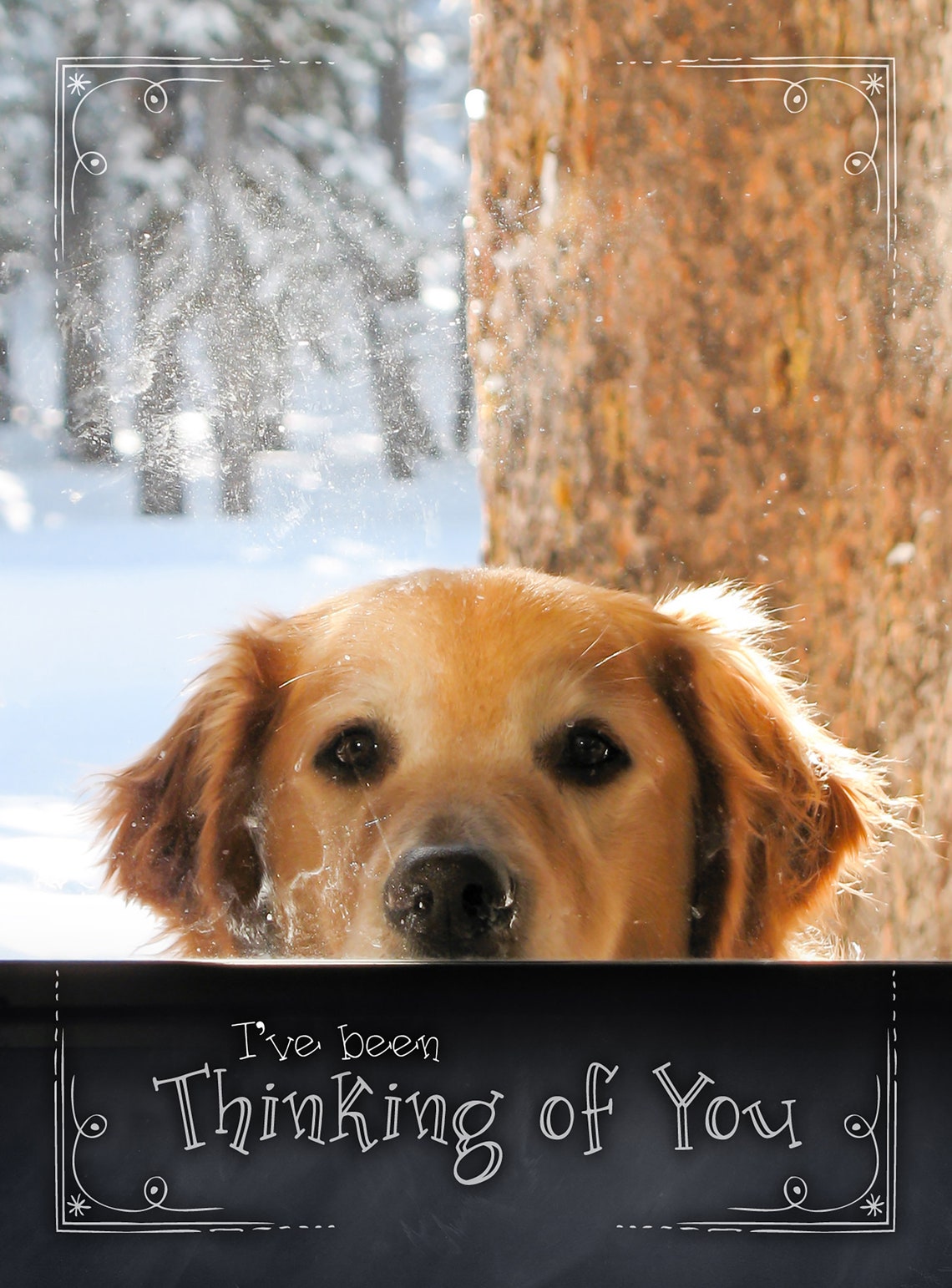 Dog Greeting Card Thinking of You Golden Retriever Card Dog Etsy
