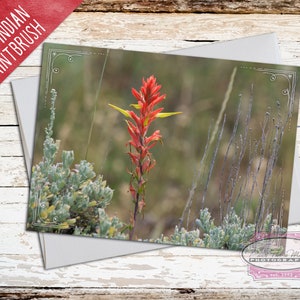 Wyoming Note Card, Wyoming State Flower, Indian Paintbrush, Red Wildflower, Wyoming Wildflower, Wyoming Photo, Note Card With Envelope image 1