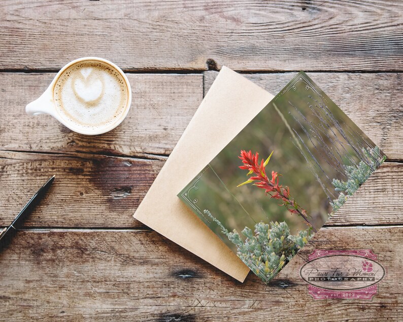 Wyoming Note Card, Wyoming State Flower, Indian Paintbrush, Red Wildflower, Wyoming Wildflower, Wyoming Photo, Note Card With Envelope image 4