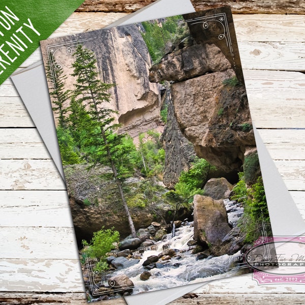 Mountain Pine Trees, Nature Note Card, Mountain Stream, Nature Photo, Blank Note Card, Card with Envelope, All Occasion Card, Sympathy Card