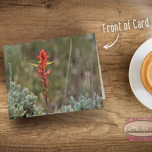Wyoming Note Card, Wyoming State Flower, Indian Paintbrush, Red Wildflower, Wyoming Wildflower, Wyoming Photo, Note Card With Envelope image 5