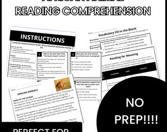Reading Comprehension Worksheets PDF | African Animal Theme | No Prep Literacy Packet Grades 2-4