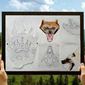 Illustrazione scientifica del teschio di Wolverine / Stampa di anatomia animale / Arte Gulo gulo / Decorazione della fauna selvatica / Arte murale naturalistica / Download immediato