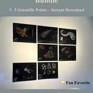 Deep Sea Creatures Art Bundle – Set of 5 Bioluminescent Marine Prints – Scientific Ocean Illustration – Digital Download