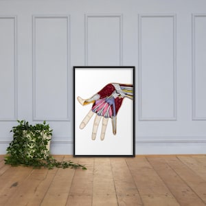 Hand Anatomy Art Print – Scientific Medical Illustration | Digital Download | Doctor Office Decor | Anatomical Wall Art