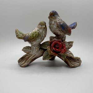 Birds
