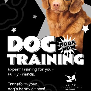 May include: A promotional poster for dog training services. The poster features a golden retriever wearing glasses, with the words "DOG TRAINING" in large white letters. Additional text includes "Expert Training for your Furry Friends."