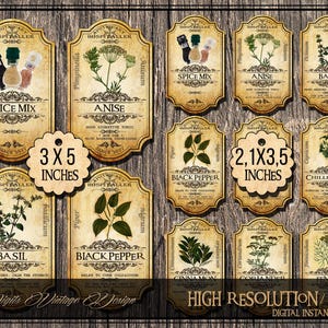 May include: Vintage-style spice labels with botanical illustrations and text. Labels include "Spice Mix," "Anise," "Basil," "Black Pepper," and "Chilli Pepper." The labels are approximately 3 x 5 inches and 2.1 x 3.5 inches. The design includes the text "Digits Vintage Design."