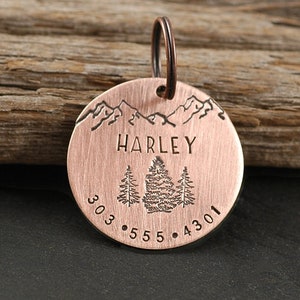 Pet ID Tag  - Personalized - Your choice of words  - Copper, Brass, Aluminum, or Nickel Silver