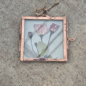 Könnte beinhalten: Quadratischer Kupferrahmen mit gepressten Blumen. Der Rahmen enthält ein Arrangement aus gepressten Blumen mit rosa und lila Blüten und grünen Blättern vor einem hellgrauen Hintergrund. Eine Schnurschlaufe ist zum Aufhängen befestigt.