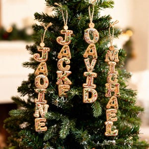 May include: Four vertical hanging ornaments shaped like letters spelling the names JAOINE, JACKIE, DAVID, and MICHAEL. Each letter features a brown gingerbread texture with colorful icing details, holly leaves, and berries, suspended by twine.