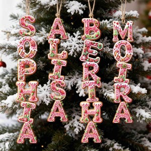 May include: Four vertical hanging ornaments shaped as letters, spelling the names SOPHIA, ALISHA, BERTHA, and MOIRA. Each letter features a gingerbread-style base with pink, red, and green icing patterns, white piped details, and twine loops.