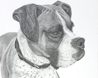 Pet portrait custom drawing