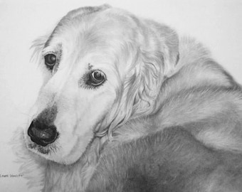 Custom Pencil Dog Portrait drawing commission
