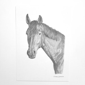 Original miniature pencil drawing