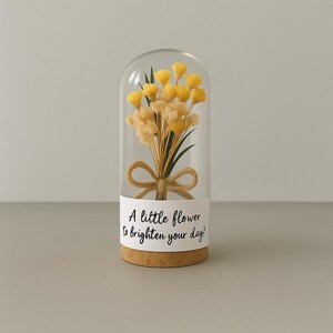 Mini cúpula de flores con mensaje: regalo de flores secas en botella. ¡Anímate, mejórate, simplemente porque sí! Regalo para madre, amiga, hermana, tía.