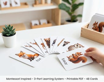 Schede Montessori in 3 parti sugli animali della foresta: schede didattiche realistiche per bambini piccoli, apprendimento a casa, download digitale educativo