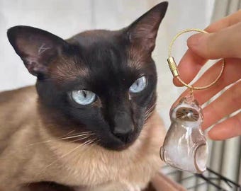 Cat Hair Keepsake Keychain: Transparent Pet Memorial Charm, USA Made
