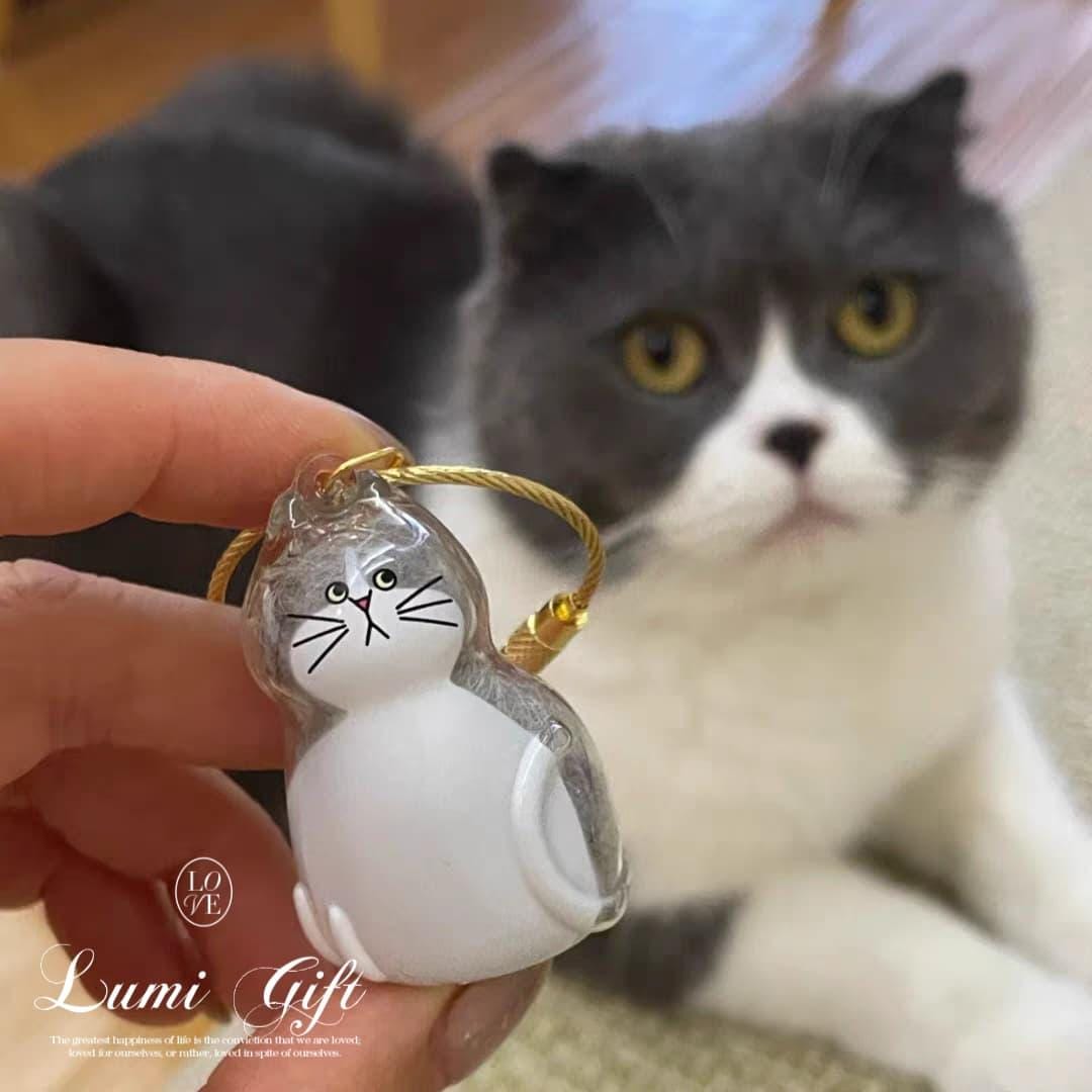 Transparent Cat Hair Keepsake Keychain: Pet Memorial Charm