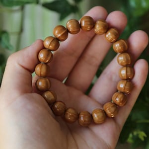 May include: A circular bracelet composed of smooth, round, light brown beads. Each bead features a distinct horizontal line running around its center, creating a uniform, segmented appearance throughout the entire length of the elasticized jewelry piece.