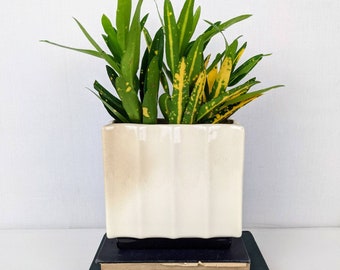 Mid Century Rectangulare White and Black Planter