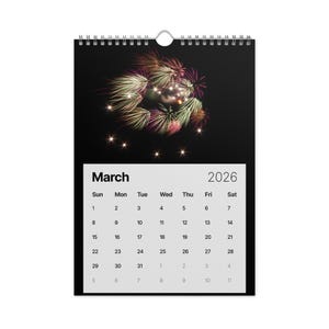 2026 Fireworks Photography Wall Calendar - Fire In The Sky | Professional Fireworks Art | USA Pyrotechnics Display Calendar | America 250