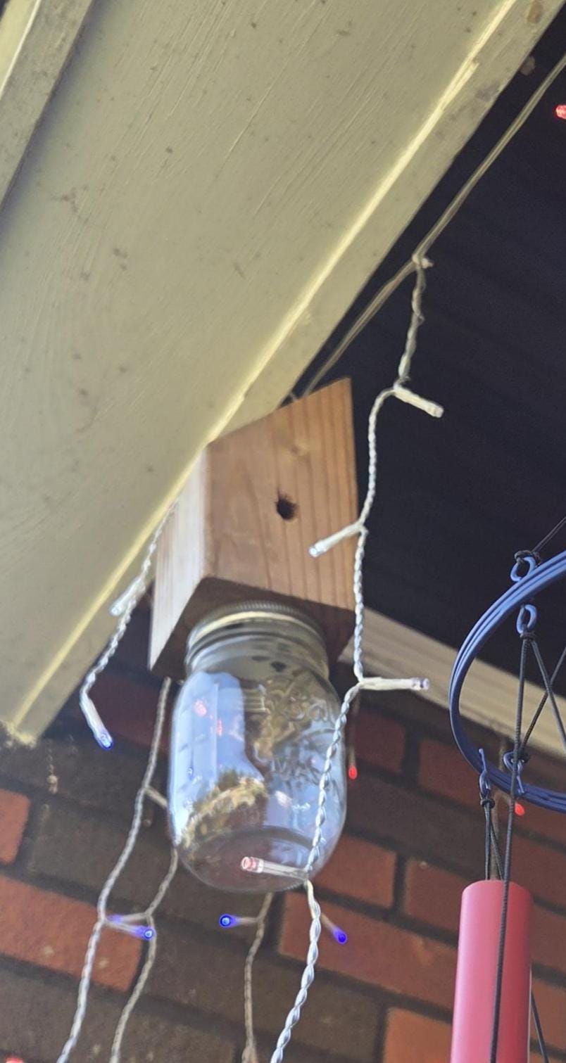 Handmade Wooden Carpenter Bee Trap with Mason Jar Reusable Outdoor Bee Catcher