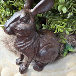 May include: A dark brown, textured cast metal rabbit figurine in a seated position. The rabbit has long, upright ears, defined facial features, and a rounded body shape. The surface of the metal shows a weathered, rustic finish with dark tones.