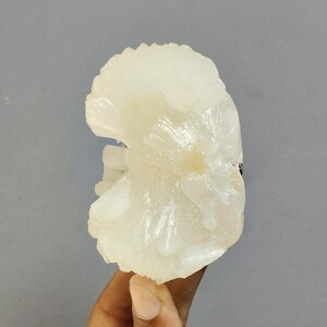 May include: A translucent, off-white mineral specimen with a radiating, fan-like crystalline structure. The cluster features a smooth, rounded top edge and a textured, layered surface with subtle pale yellow highlights near the center.