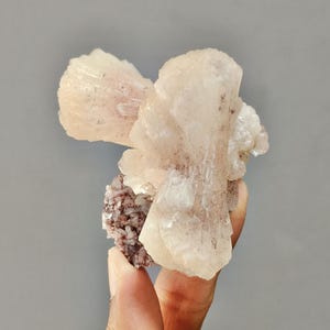 May include: A cluster of pale pink crystal formations, resembling a flower, is held against a gray background. The crystals have a layered appearance and are attached to a base of smaller, reddish-brown crystals.