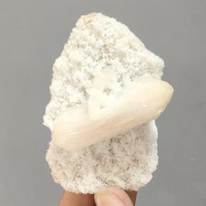 May include: A piece of raw, unpolished calcite crystal. The crystal is a pale, creamy color and is set against a rough, textured, off-white rock. The rock is held in a person's hand against a gray background.