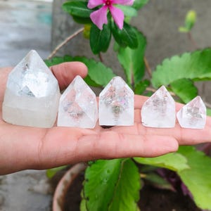 Op de afbeelding: Vijf heldere kwartskristalpunten van verschillende grootte worden op een hand getoond. De kristallen hebben een facetvormige, piramideachtige vorm. De kristallen zijn gerangschikt van groot naar klein, met het grootste kristal aan de linkerkant. De achtergrond omvat groen gebladerte en een roze bloem.