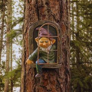 Puede incluir: Una escultura caprichosa de un gnomo de jardín asoma por una ventana incrustada en un tronco de árbol. El gnomo lleva un sombrero burdeos, una chaqueta verde y pantalones azules. El marco de la ventana es de color marrón óxido y el gnomo tiene una barba blanca.