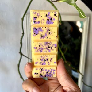 Pendragon – Anime-Inspired Wax Melt Bar