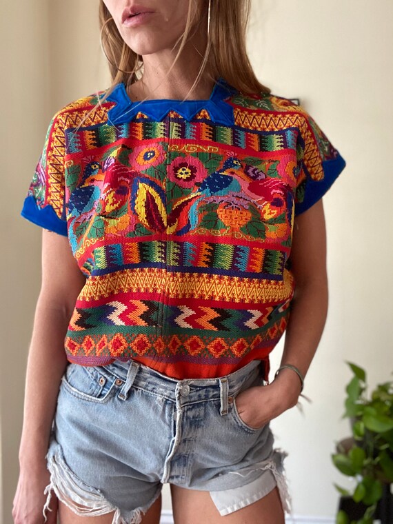 Hand Embroidered needle point tunic velvet trim hu