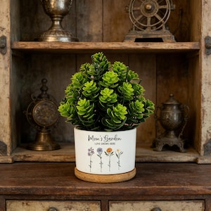 Può includere: Una piccola pianta verde e frondosa in un vaso di ceramica bianco con la scritta "Mom's Garden LOVE GROWS HERE". Il vaso poggia su un sottobicchiere rotondo di legno. Lo sfondo comprende una mensola di legno con oggetti decorativi.
