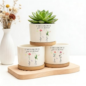 Vänskapspresent, det tar lång tid att bli en gammal vän, personlig vänskapspresent i keramisk mini-växtkruka, keramisk blomkruka, minnespresent