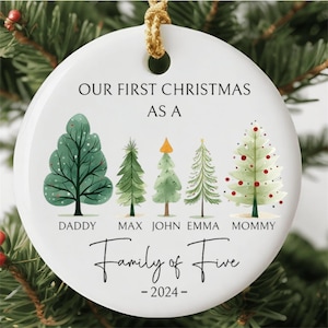 Personalized Family Christmas Ornament 2025, Custom Family Name Christmas Ornament, Christmas Tree Decoration, Christmas Ornament Gift