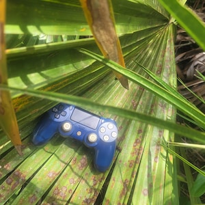 Puede incluir: Un mando de videojuegos azul descansa sobre un lecho de hojas de palmera verdes. El mando tiene un diseño simétrico con botones y joysticks. El fondo presenta más follaje verde.