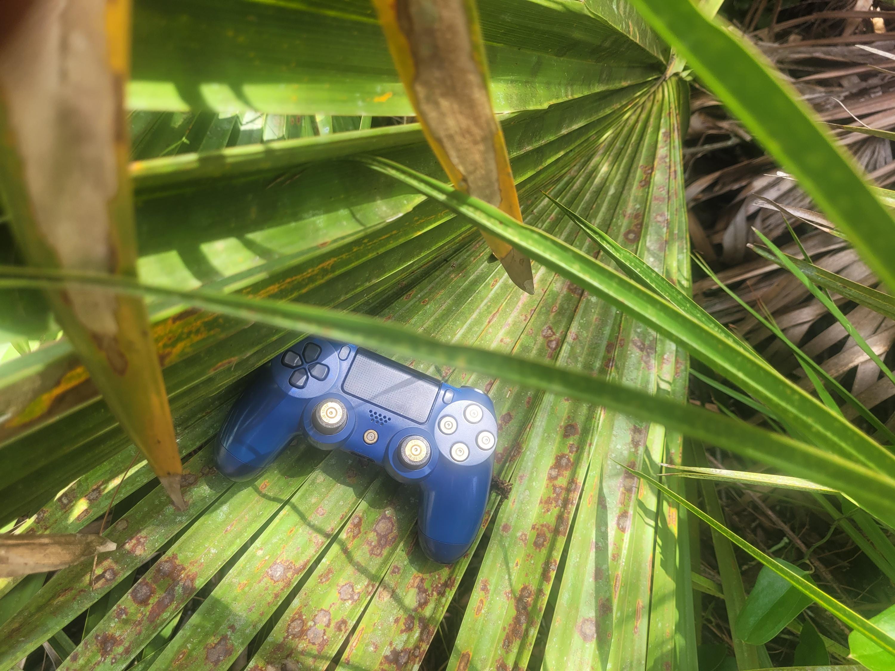 Botones personalizados de ps4 España