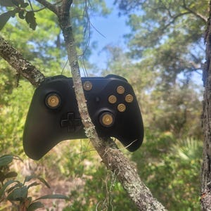 Peut inclure: Une manette de jeu noire avec des douilles de balles en laiton incrustées, posée sur une branche d'arbre. La manette comprend un pavé directionnel, des joysticks et des boutons. L'arrière-plan montre un cadre extérieur naturel avec des arbres et un ciel bleu.