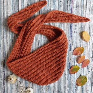 Puede incluir: Bufanda de punto color óxido con textura acanalada, sobre una alfombra a rayas azules y blancas. La bufanda está doblada y tiene forma triangular. Hojas y flores secas esparcidas alrededor.