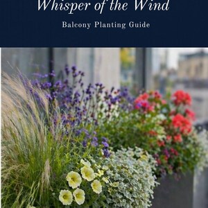 Puede incluir: Una guía de plantación para balcones titulada "Whisper of the Wind" con un fondo azul oscuro. La imagen presenta una jardinera rebosante de flores coloridas, incluyendo flores amarillas, moradas y rojas, y gramíneas ornamentales.
