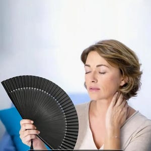 Elegant Black Hand Fan - Wedding or Summer Accessory