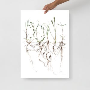 No lo olvides – Impresión botánica en A2 42×59,4 cm / Collage de Karolina Lilliequist