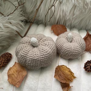 Könnte beinhalten: Zwei beige gehäkelte Kürbisse mit weißen Stielen liegen auf einer flauschigen weißen Oberfläche, umgeben von getrockneten Blättern und Tannenzapfen. Die Kürbisse sind hellbraun und haben eine strukturierte Optik.