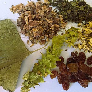 May include: An overhead shot shows a selection of dried herbs and fruits. A large, dried green ginkgo leaf is on the left. Other items include brown raisins, green tea leaves, and chopped brown bark.